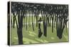 Lady in Park, Cocorico-Louis Popineau-Stretched Canvas