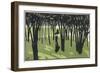 Lady in Park, Cocorico-Louis Popineau-Framed Art Print