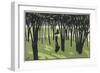 Lady in Park, Cocorico-Louis Popineau-Framed Art Print