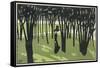 Lady in Park, Cocorico-Louis Popineau-Framed Stretched Canvas