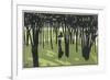 Lady in Park, Cocorico-Louis Popineau-Framed Premium Giclee Print