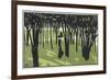 Lady in Park, Cocorico-Louis Popineau-Framed Premium Giclee Print