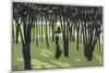 Lady in Park, Cocorico-Louis Popineau-Mounted Premium Giclee Print