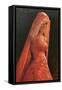 Lady in Red-Michael Jackson-Framed Stretched Canvas