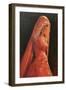 Lady in Red-Michael Jackson-Framed Giclee Print