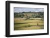 Lady in Rice Paddy Fields on Rn7 (Route Nationale 7) Near Ambatolampy in the Central Highlands-Matthew Williams-Ellis-Framed Photographic Print