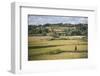 Lady in Rice Paddy Fields on Rn7 (Route Nationale 7) Near Ambatolampy in the Central Highlands-Matthew Williams-Ellis-Framed Photographic Print