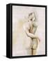 Lady in Silence II-Rikki Drotar-Framed Stretched Canvas