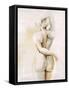 Lady in Silence II-Rikki Drotar-Framed Stretched Canvas