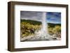 Lady Knox Geyser Waiotapu-null-Framed Art Print