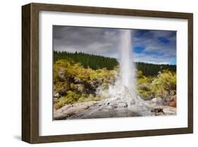 Lady Knox Geyser Waiotapu-null-Framed Art Print