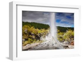 Lady Knox Geyser Waiotapu-null-Framed Art Print