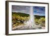 Lady Knox Geyser Waiotapu-null-Framed Art Print