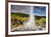 Lady Knox Geyser Waiotapu-null-Framed Art Print