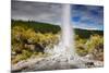 Lady Knox Geyser Waiotapu-null-Mounted Art Print