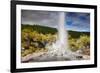 Lady Knox Geyser Waiotapu-null-Framed Art Print