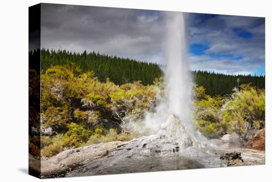 Lady Knox Geyser Waiotapu-null-Stretched Canvas
