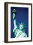 Lady Liberty-null-Framed Art Print