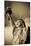Lady Liberty-Alan Copson-Mounted Giclee Print