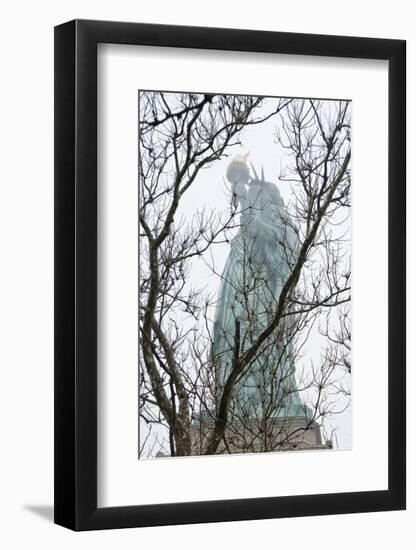 Lady Liberty-Erin Clark-Framed Art Print