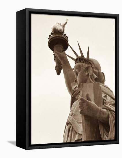 Lady Liberty-Sasha Gleyzer-Framed Stretched Canvas