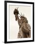 Lady Liberty-Sasha Gleyzer-Framed Art Print