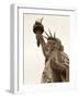 Lady Liberty-Sasha Gleyzer-Framed Art Print