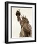 Lady Liberty-Sasha Gleyzer-Framed Art Print