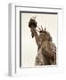 Lady Liberty-Sasha Gleyzer-Framed Art Print