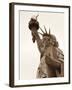 Lady Liberty-Sasha Gleyzer-Framed Art Print