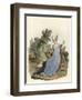 Lady of 1420-Charles Hamilton Smith-Framed Art Print