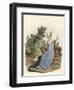 Lady of 1420-Charles Hamilton Smith-Framed Art Print