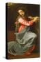 Lady of Annunciation-Annibale Carracci-Stretched Canvas