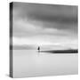 Lady of the Lake-George Digalakis-Stretched Canvas