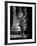 Lady of the Tropics, 1939-null-Framed Photographic Print