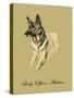 Lady Olfina The Alsatian-Lucy Dawson-Stretched Canvas