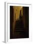 Lady on the Staircase-Caspar David Friedrich-Framed Giclee Print