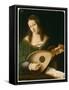 Lady Playing a Lute, c.1530-Bartolomeo Veneto-Framed Stretched Canvas