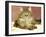 Lady Pounce-Jan Benz-Framed Giclee Print