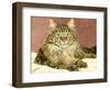 Lady Pounce-Jan Benz-Framed Giclee Print