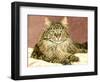 Lady Pounce-Jan Benz-Framed Giclee Print