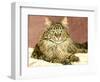 Lady Pounce-Jan Benz-Framed Giclee Print