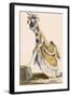 Lady Pulling Up Her Stocking, Engraved by Le Beau, Plate No.1-Pierre Thomas Le Clerc-Framed Giclee Print