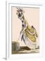 Lady Pulling Up Her Stocking, Engraved by Le Beau, Plate No.1-Pierre Thomas Le Clerc-Framed Giclee Print