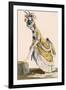 Lady Pulling Up Her Stocking, Engraved by Le Beau, Plate No.1-Pierre Thomas Le Clerc-Framed Giclee Print