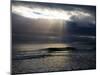 Lady's Cove, the Copper Coast, County Waterford, Ireland-null-Mounted Photographic Print