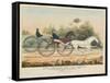 Lady Suffolk' and 'Lady Moscow', Hunting Park Course, Philadelphia, 13th June, 1850-Currier & Ives-Framed Stretched Canvas