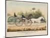 Lady Suffolk' and 'Lady Moscow', Hunting Park Course, Philadelphia, 13th June, 1850-Currier & Ives-Mounted Giclee Print