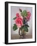 Lady Sylvia Roses in a Silver Vase-Albert Williams-Framed Giclee Print