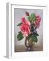 Lady Sylvia Roses in a Silver Vase-Albert Williams-Framed Giclee Print